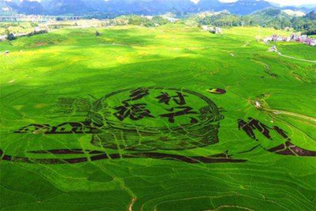 公務(wù)員考試申論熱點(diǎn)：鄉村產(chǎn)業(yè)振興