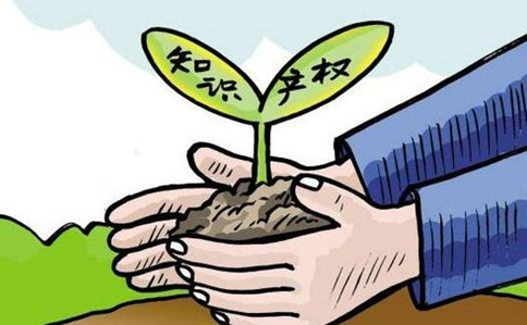 申論熱點(diǎn)：知識產(chǎn)權保護
