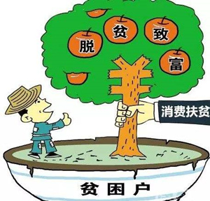 申論熱點(diǎn)：消費扶貧